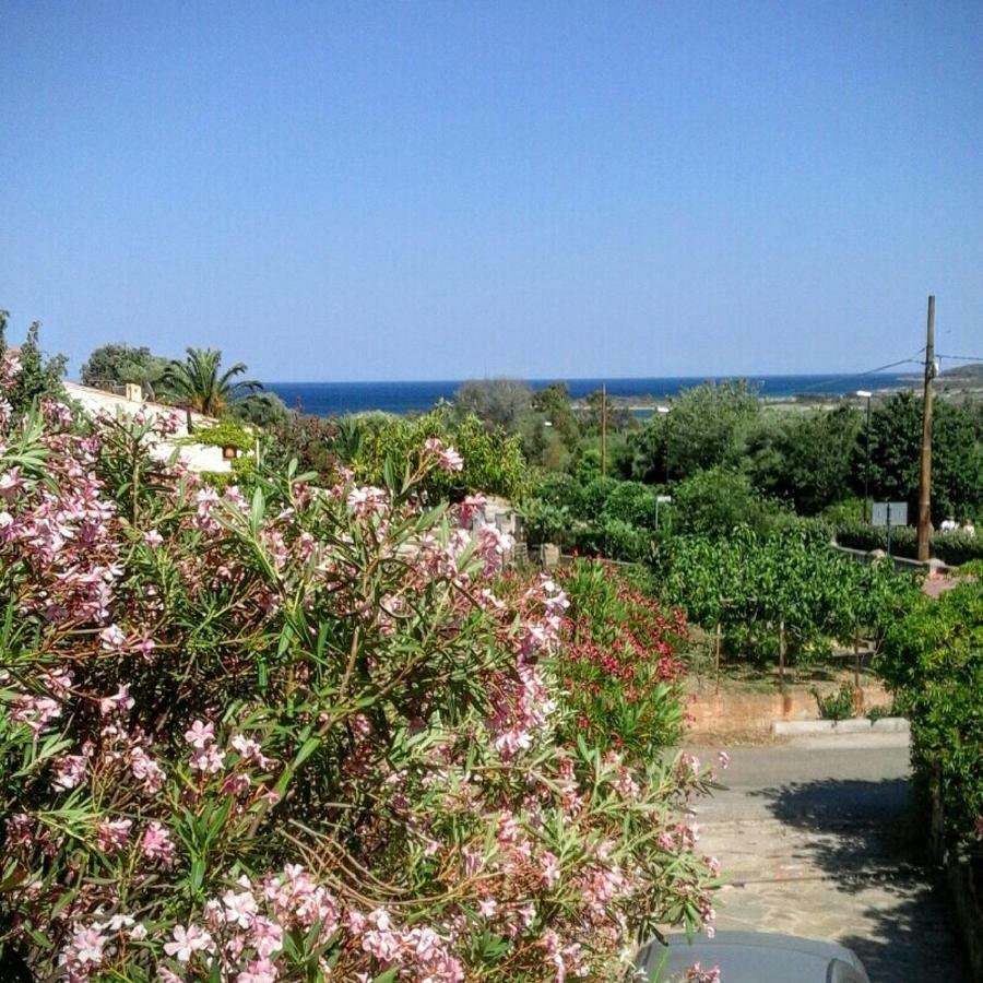 Cala D'ambra E Ogliastra * San Teodoro (Sardinia)